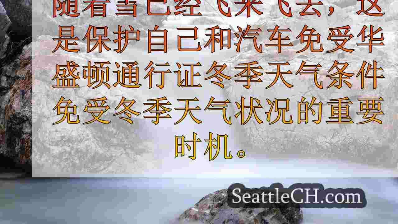 西雅图新闻 SeattleCH