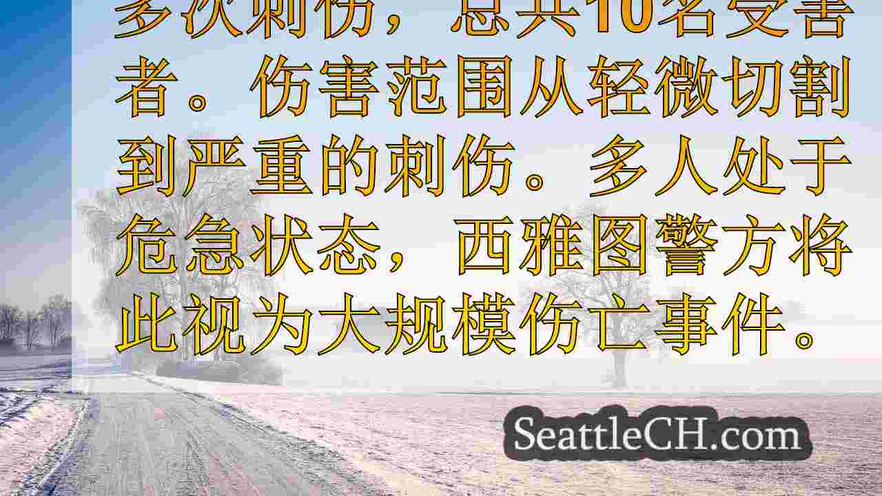 6个刺伤，10名受害者 - 追踪西雅图最近的攻击