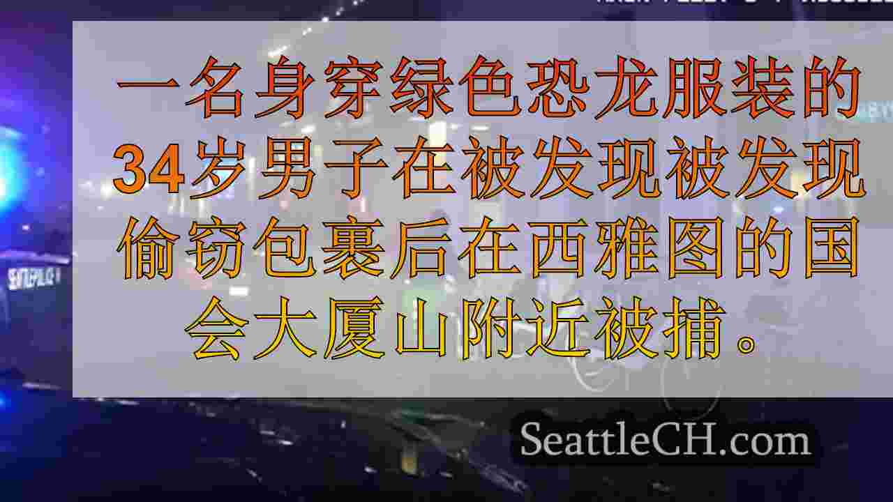 西雅图新闻 SeattleCH