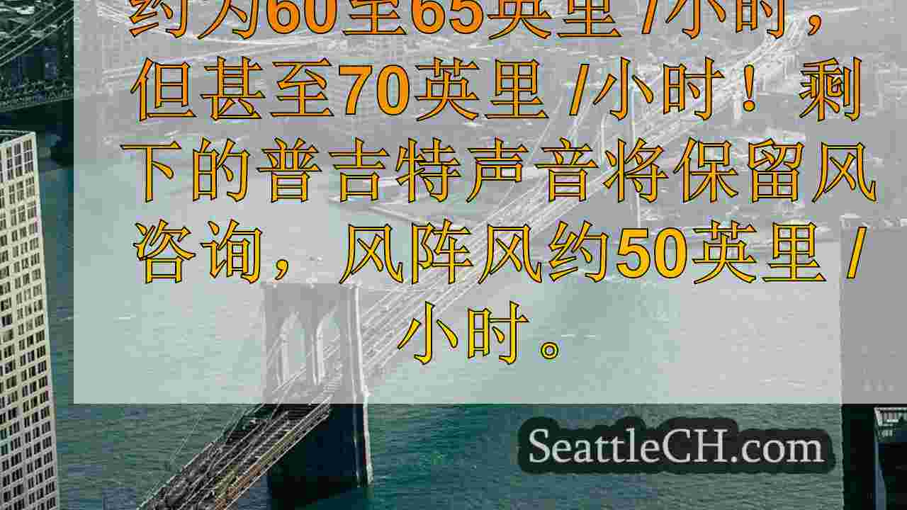 西雅图新闻 SeattleCH