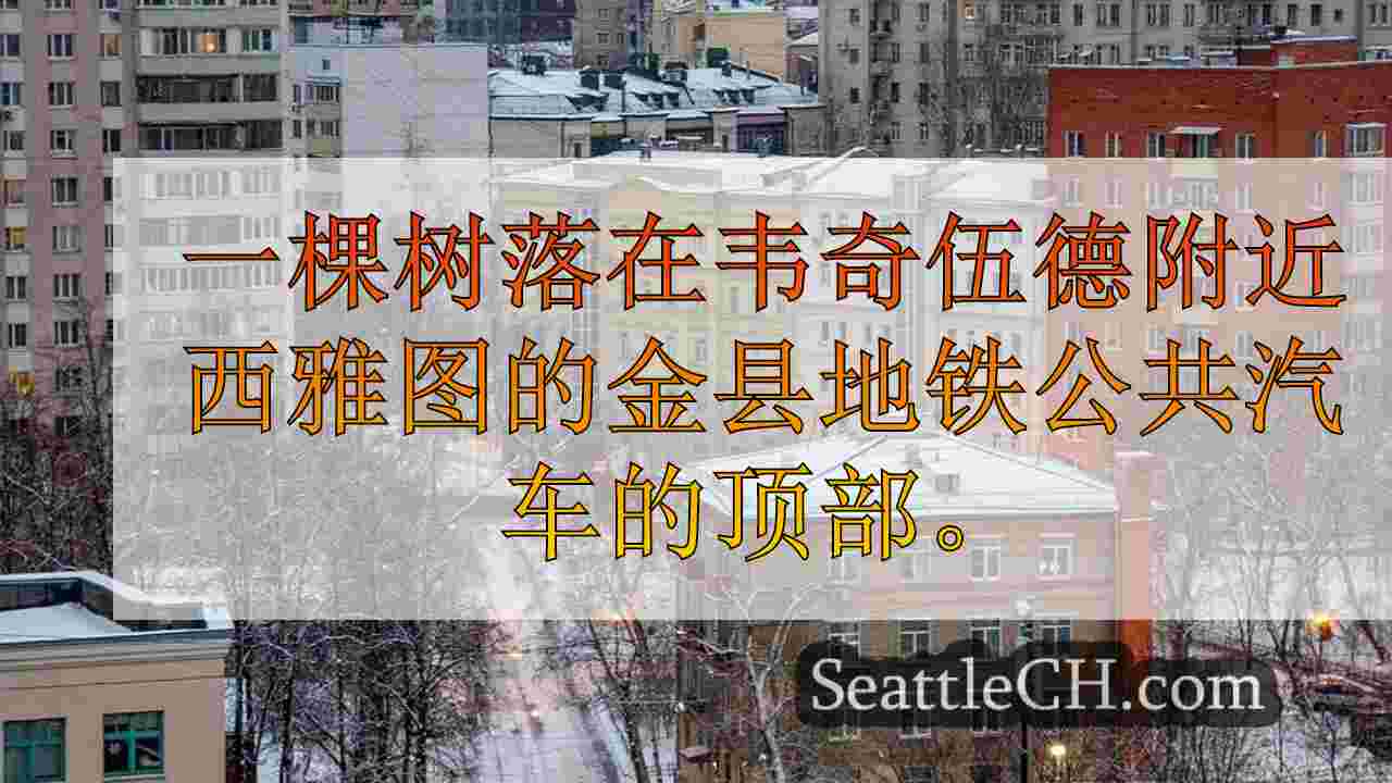 西雅图新闻 SeattleCH