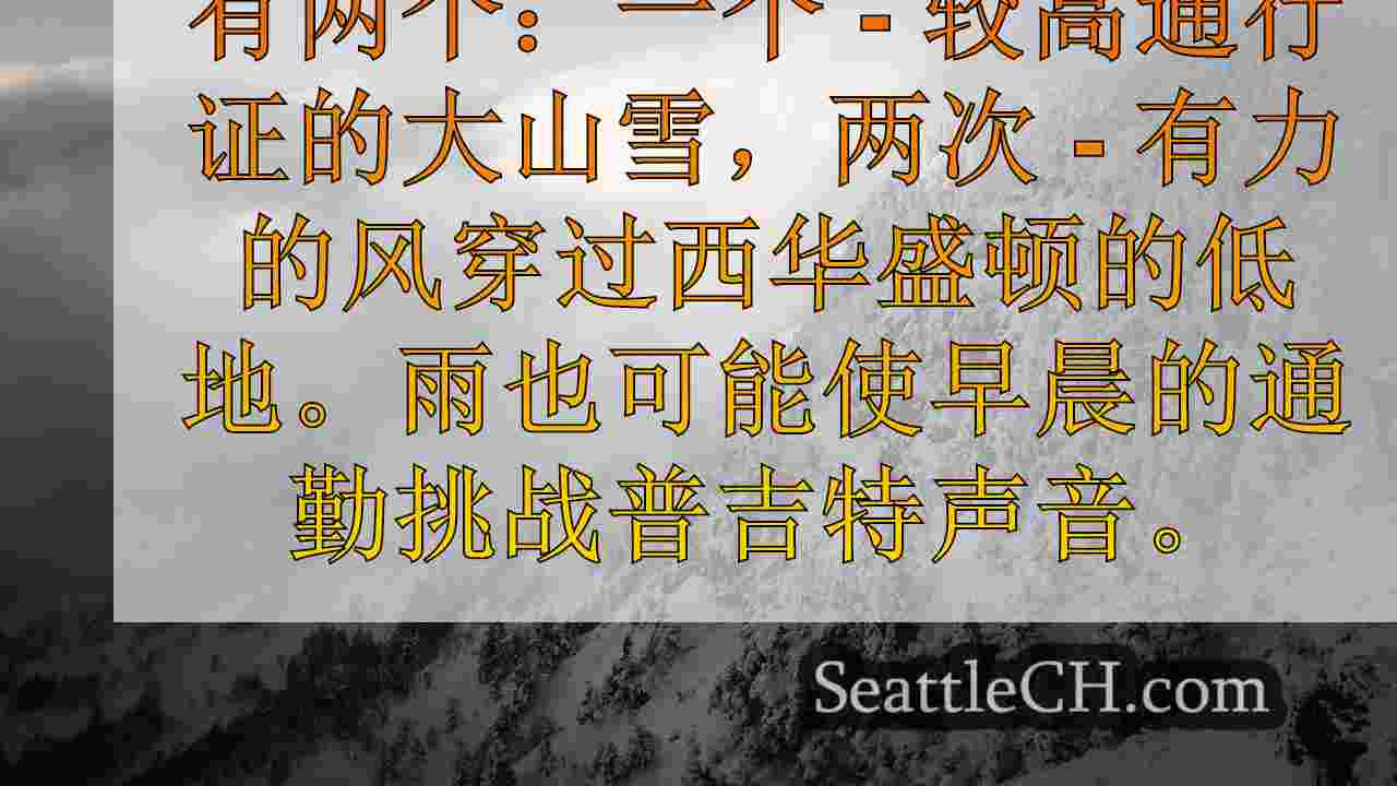 西雅图新闻 SeattleCH