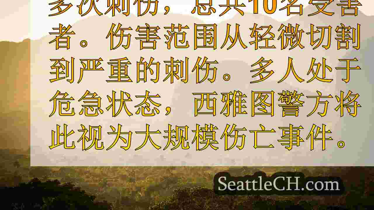 6个刺伤，10名受害者 - 追踪西雅图最近的攻击