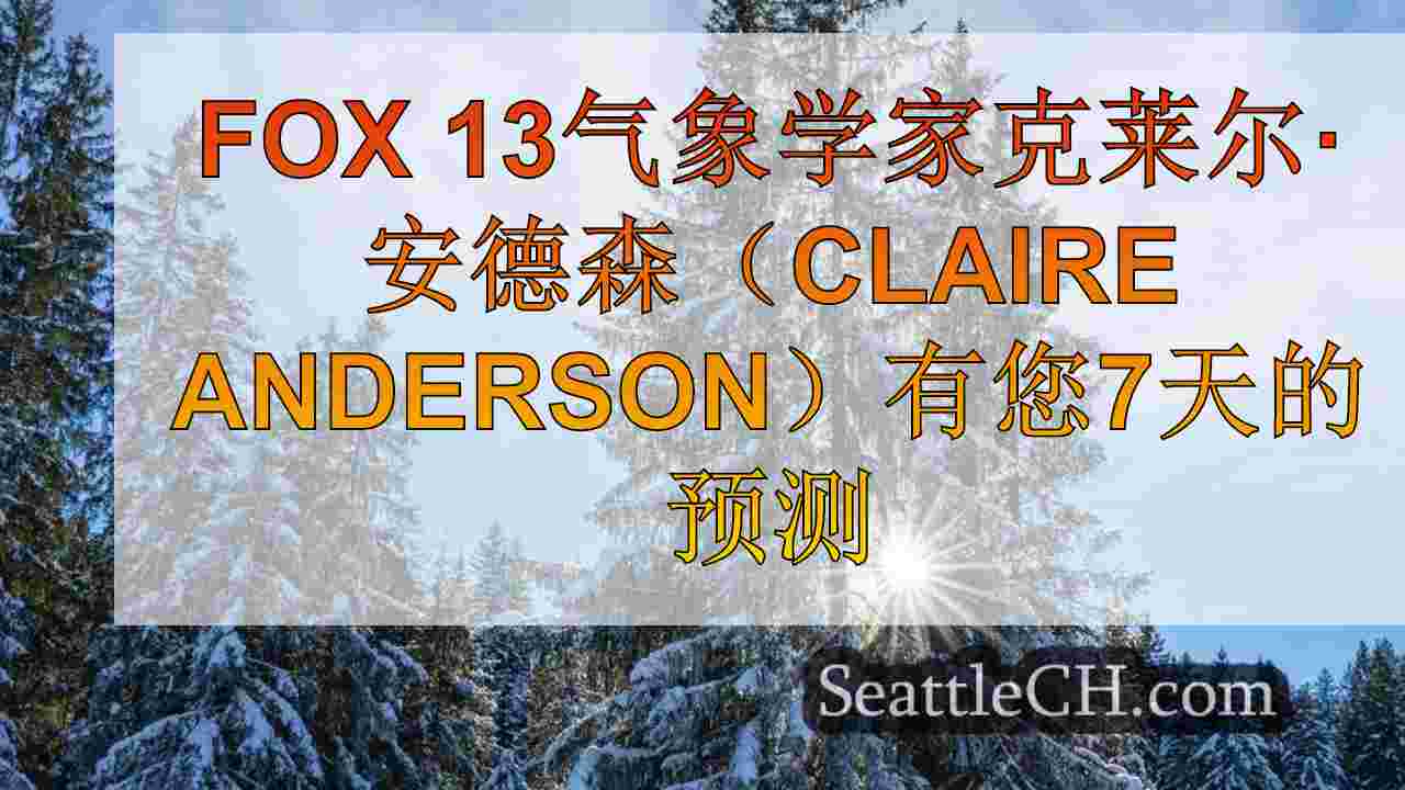 西雅图新闻 SeattleCH
