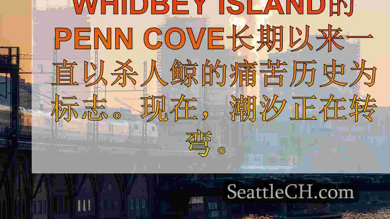 西雅图新闻 SeattleCH