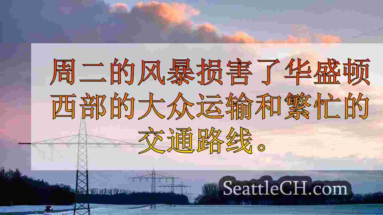 西雅图新闻 SeattleCH