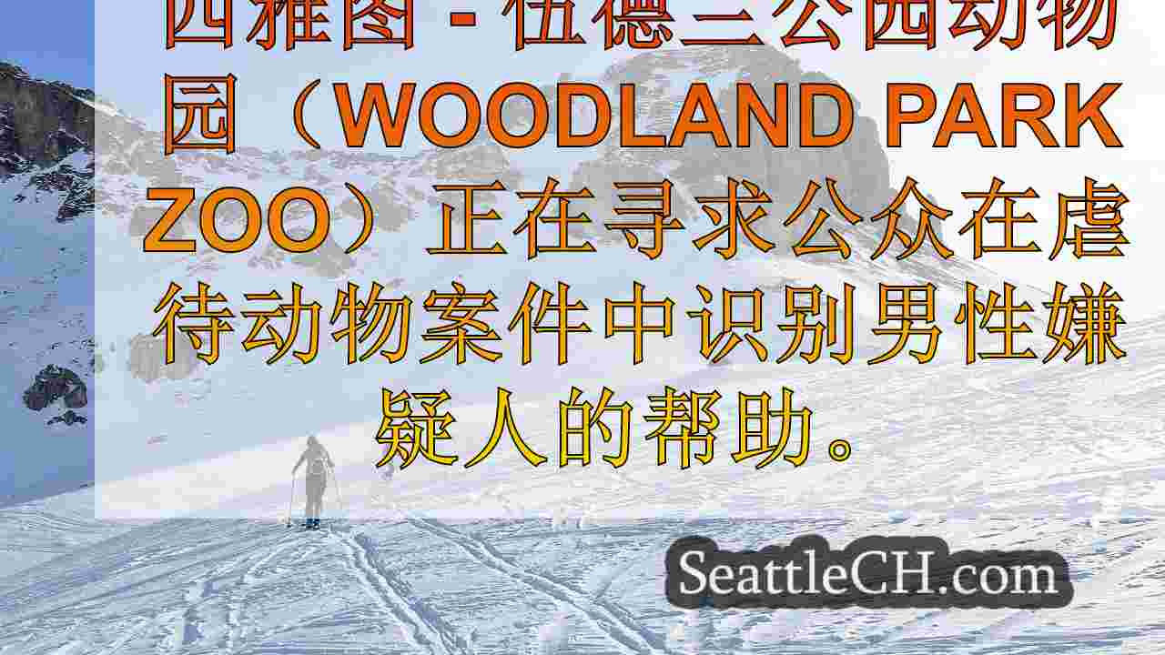西雅图新闻 SeattleCH
