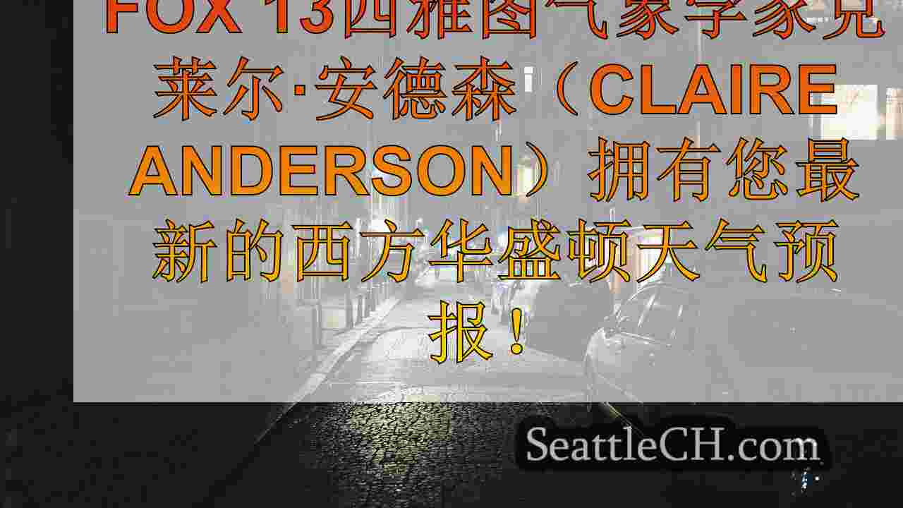 西雅图新闻 SeattleCH