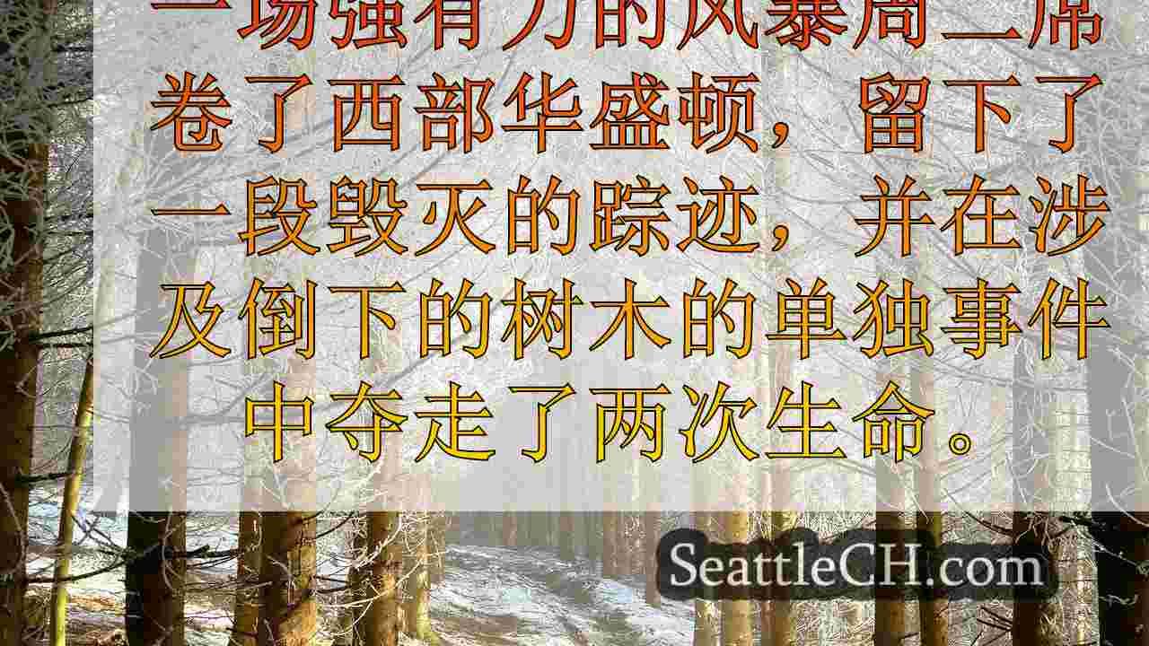 致命的暴风雨猛击西部华盛顿山顶树木，杀死2