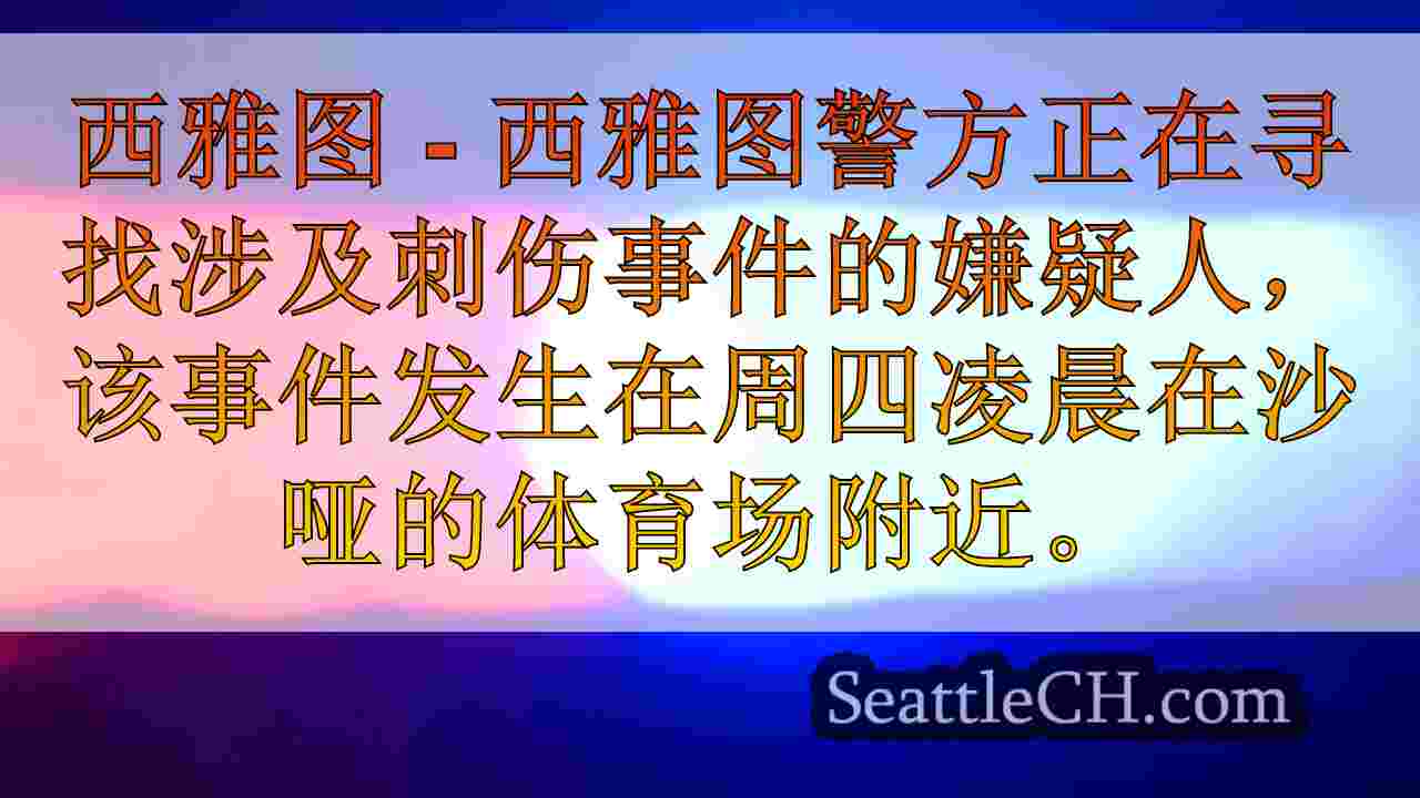 警方调查西雅图的赫斯基体育场附近刺伤