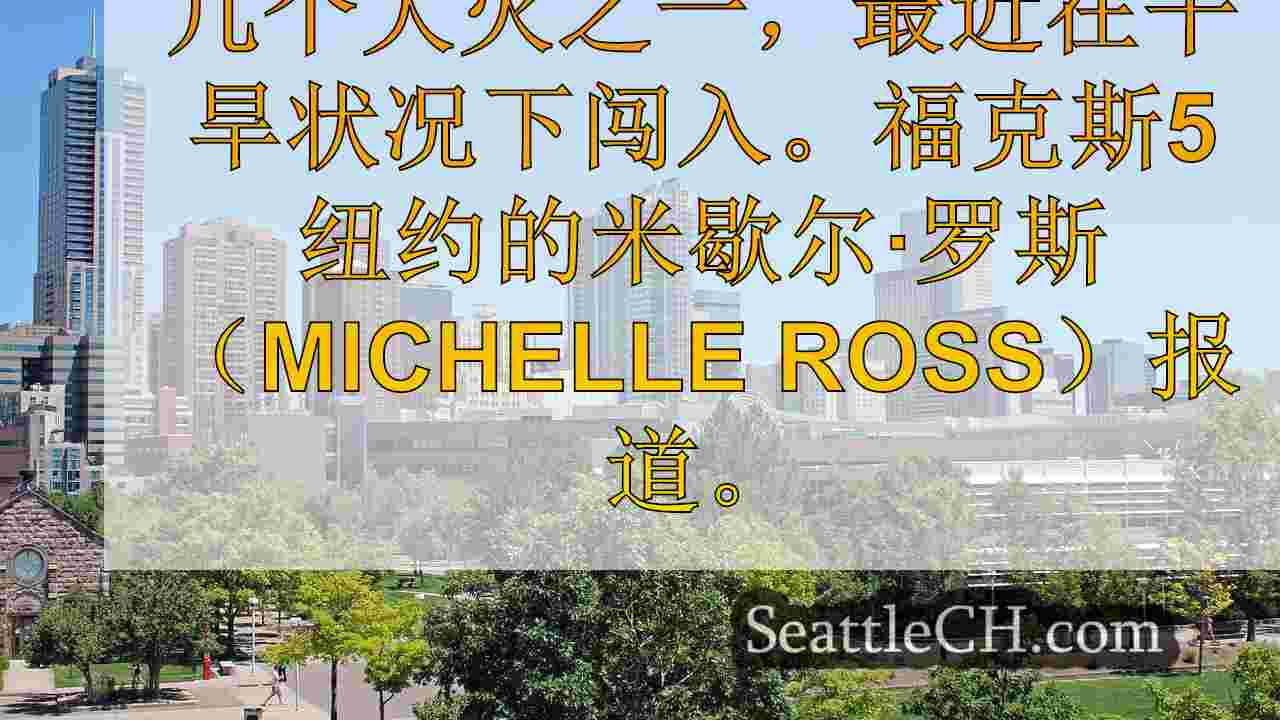 西雅图新闻 SeattleCH