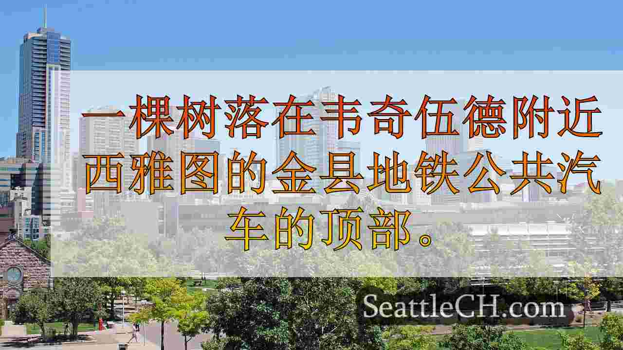 西雅图新闻 SeattleCH
