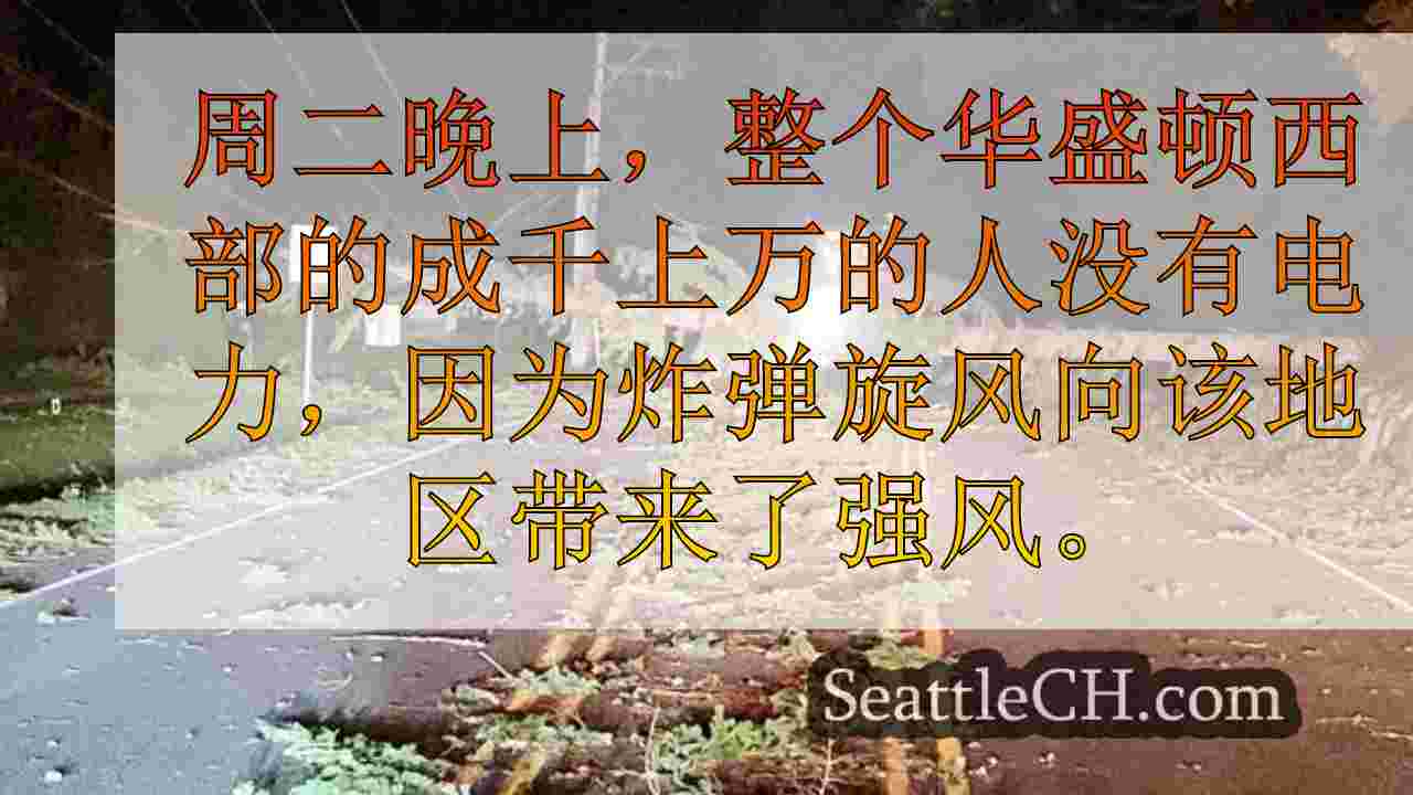 西雅图新闻 SeattleCH