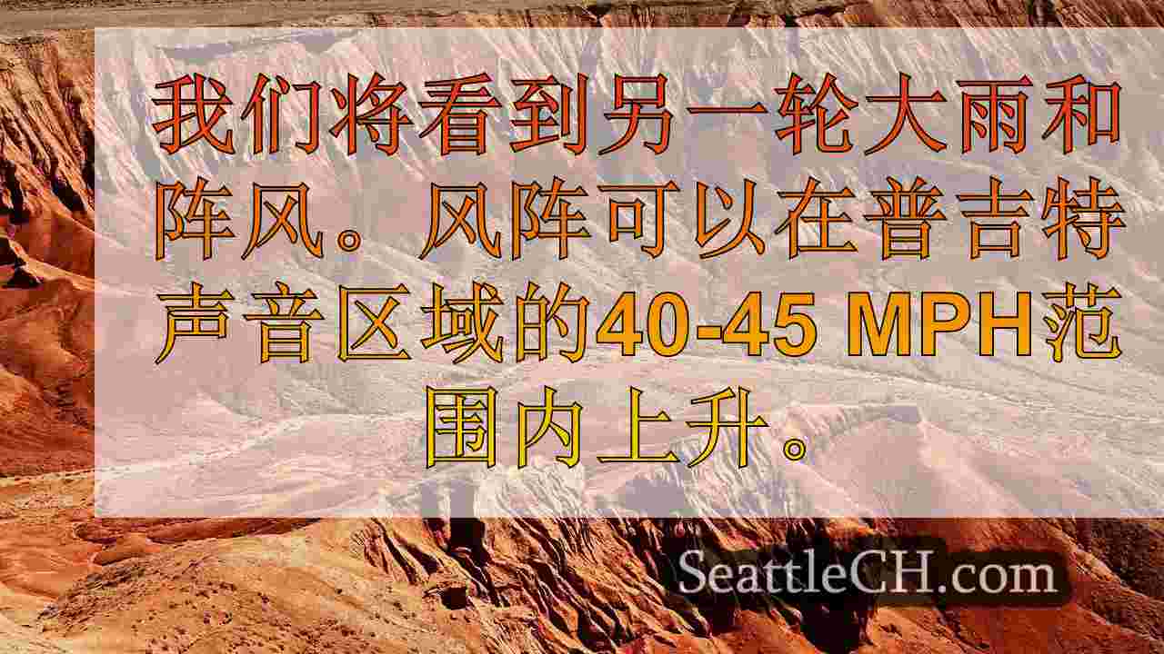 西雅图新闻 SeattleCH