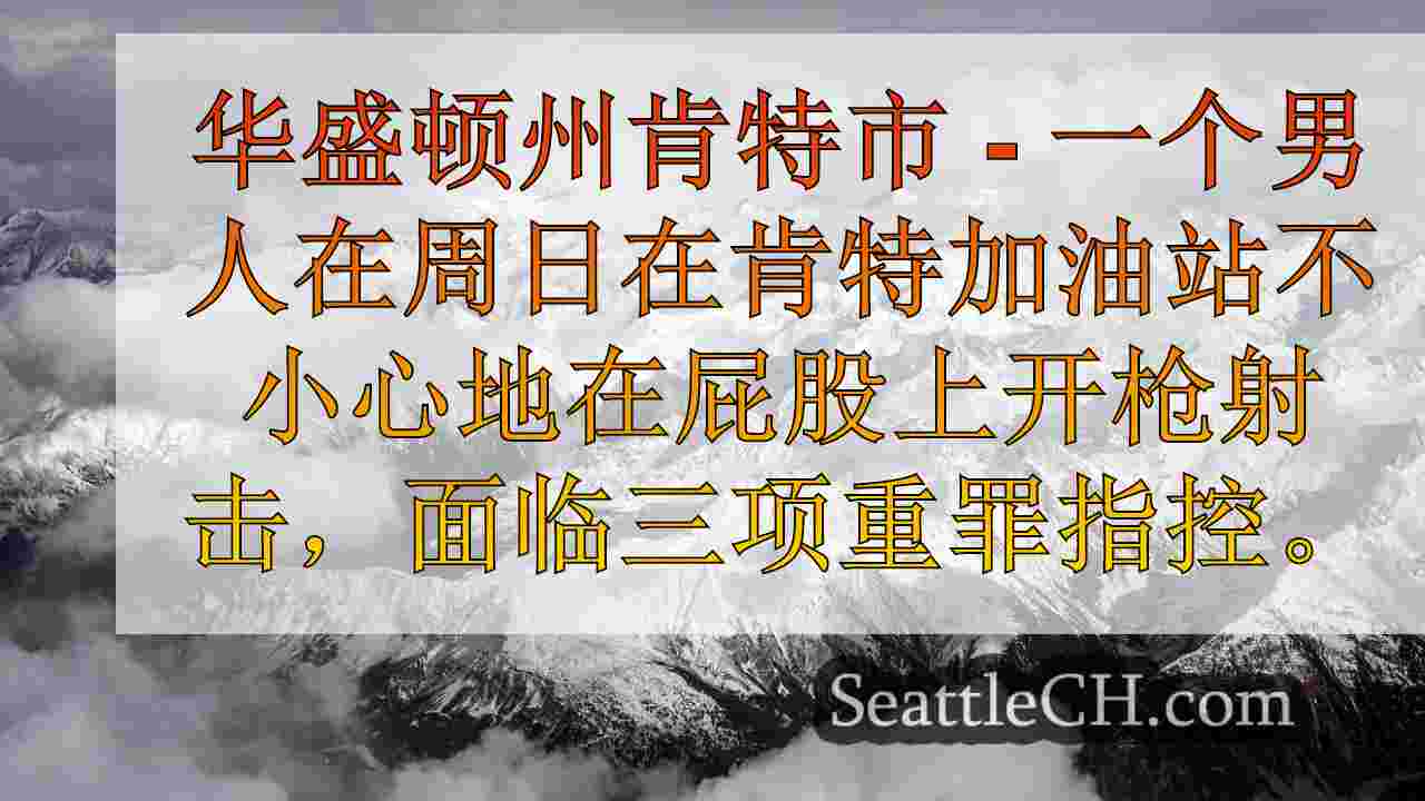 警方：西澳人在射击自己的屁股后面临重罪指控