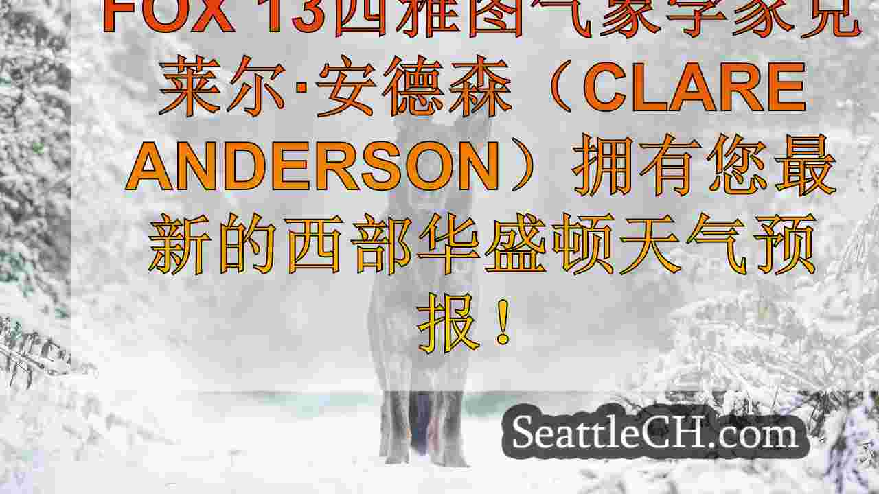 西雅图新闻 SeattleCH
