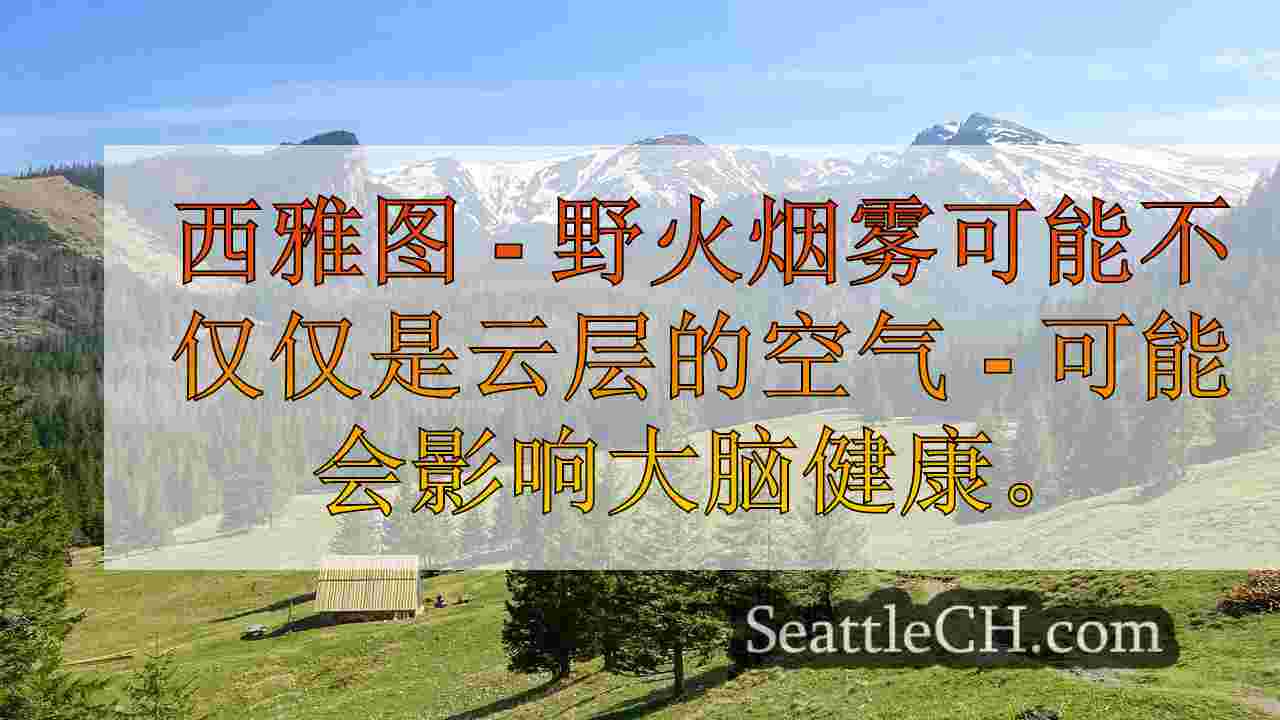 野火烟雾会放大痴呆症风险，UW研究发现