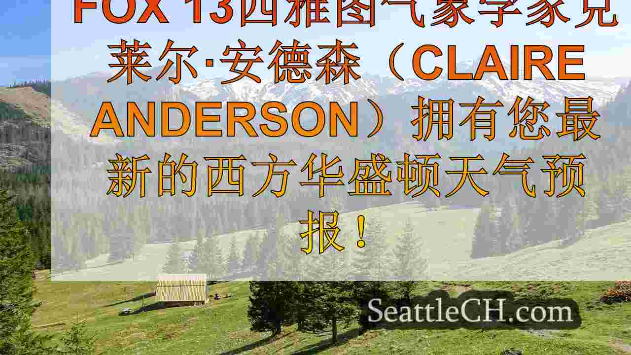 西雅图新闻 SeattleCH