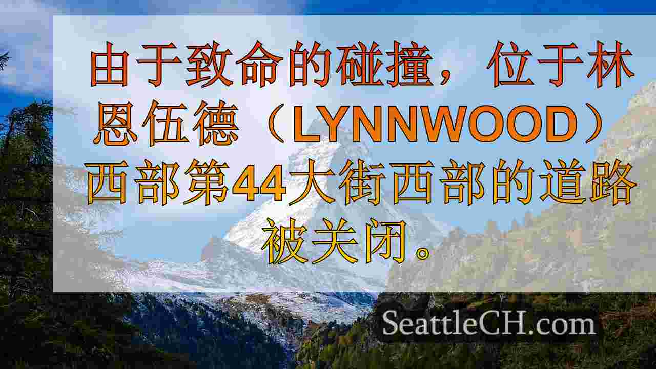 西雅图新闻 SeattleCH