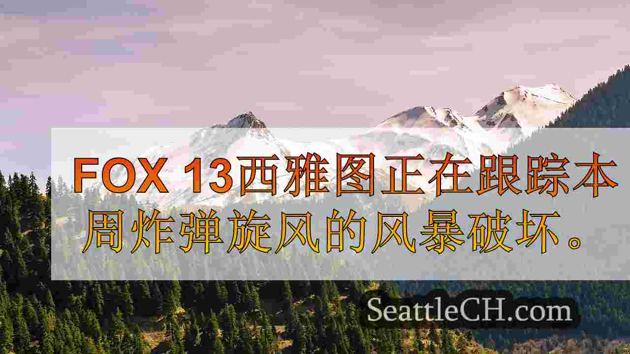 西雅图新闻 SeattleCH