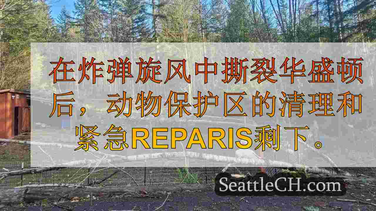 风暴离开动物保护区，没有电，动物安全需要紧急维修