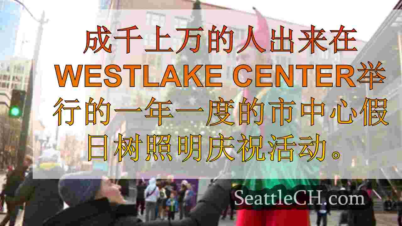 树木照明仪式在西雅图开始假期