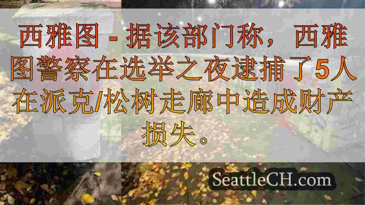 西雅图选举之夜抗议中的多次逮捕