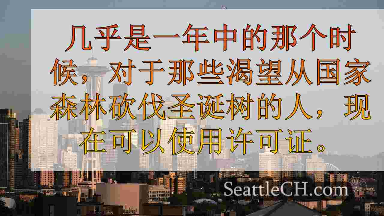 西雅图新闻 SeattleCH