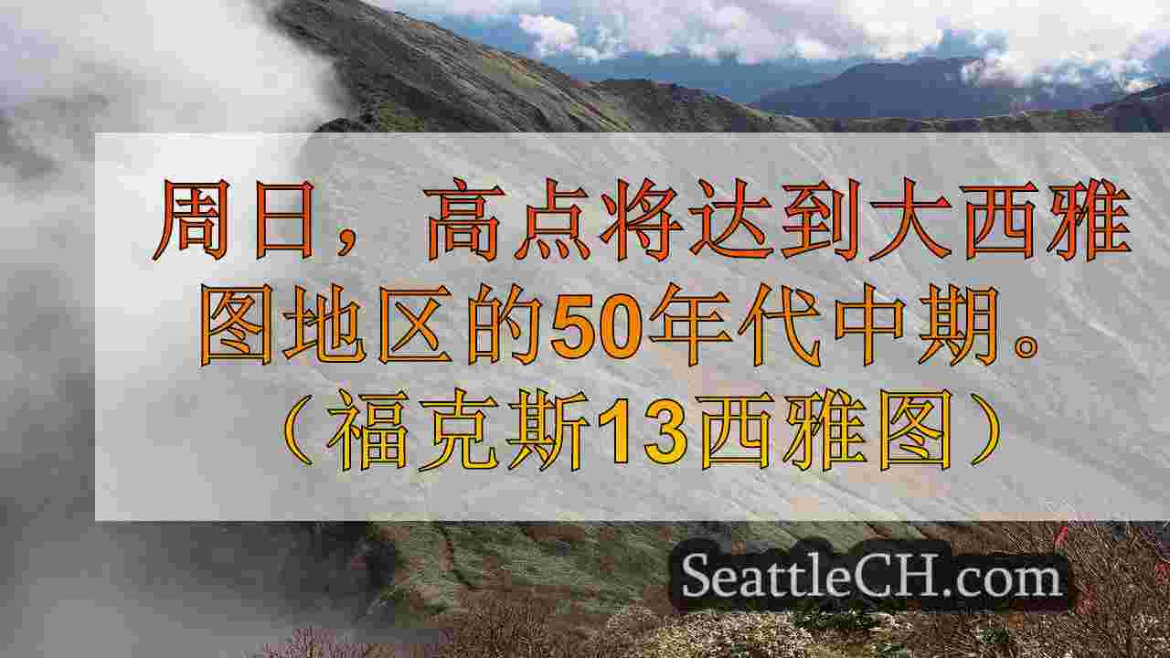 西雅图新闻 SeattleCH
