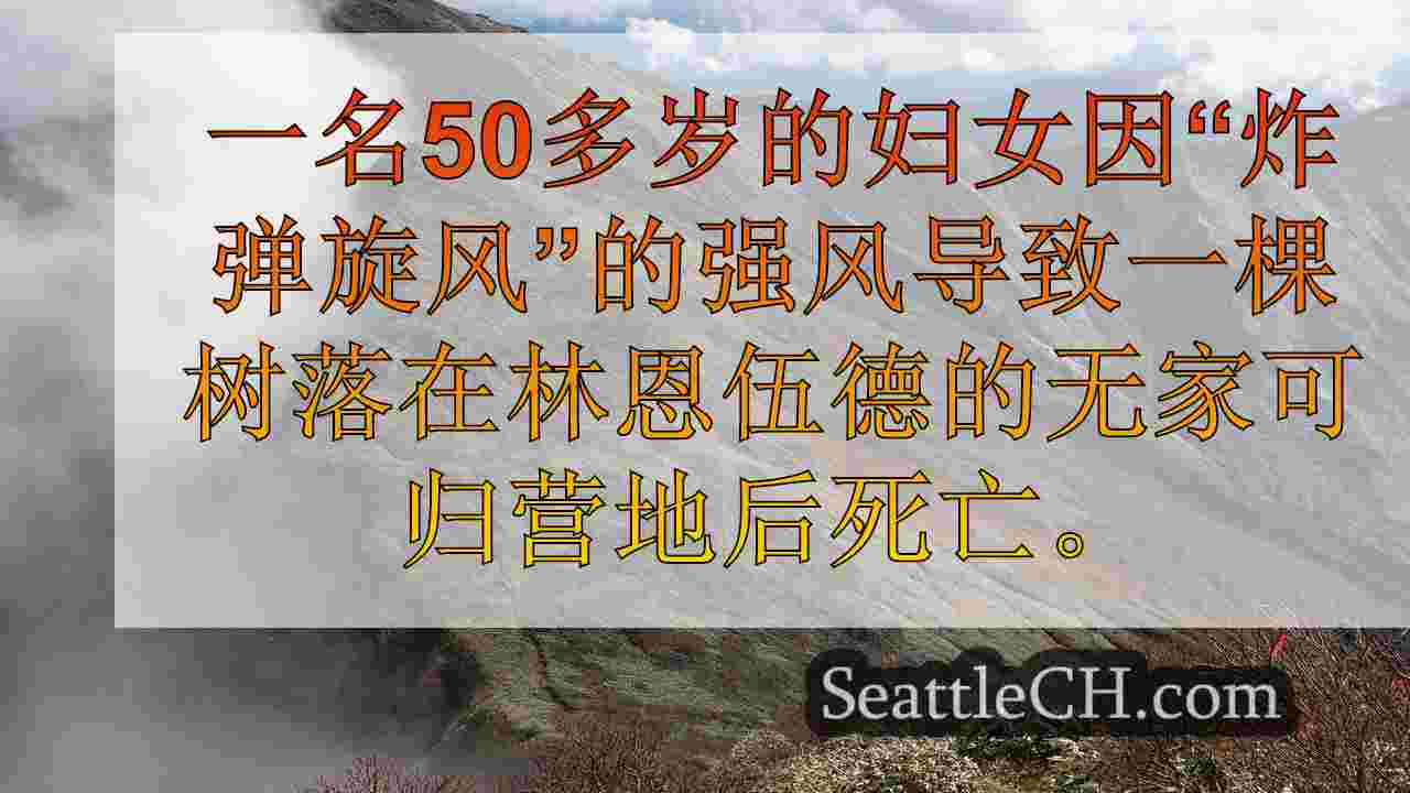 西雅图新闻 SeattleCH
