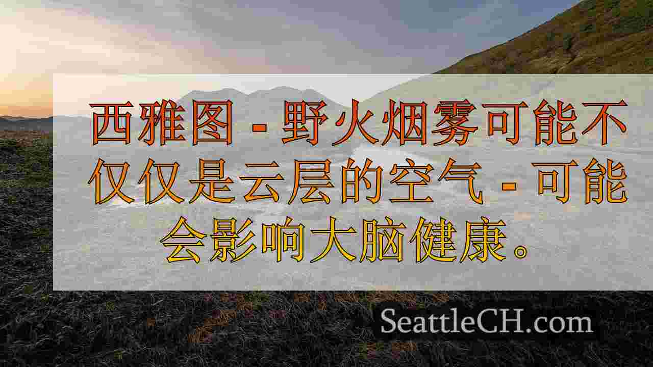 西雅图新闻 SeattleCH