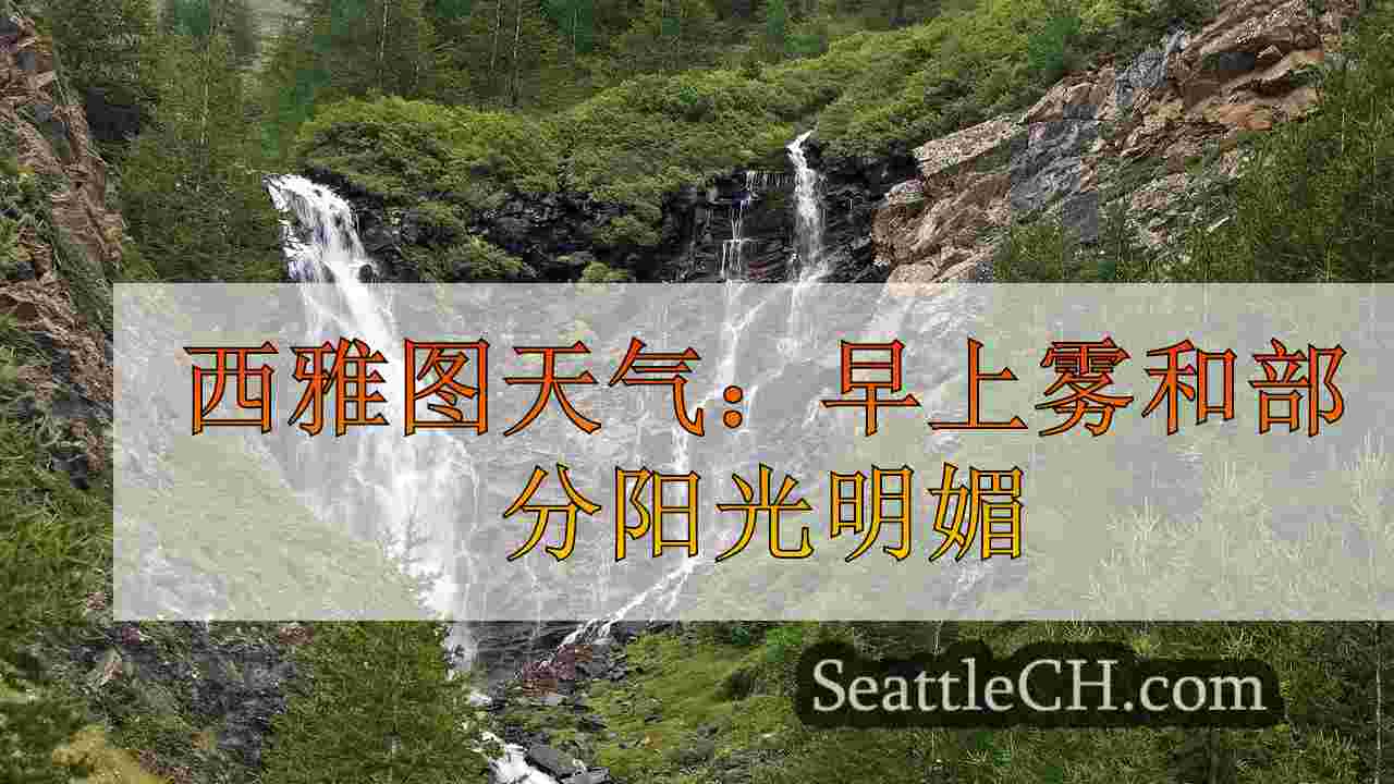 西雅图新闻 SeattleCH