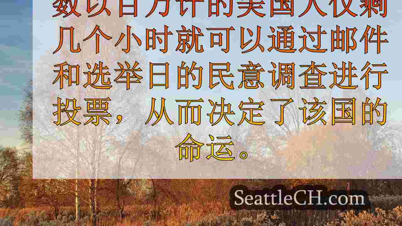 西雅图新闻 SeattleCH