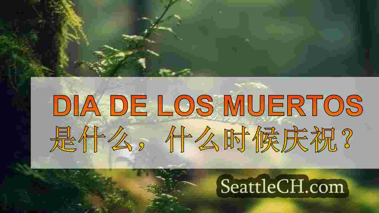 西雅图新闻 SeattleCH
