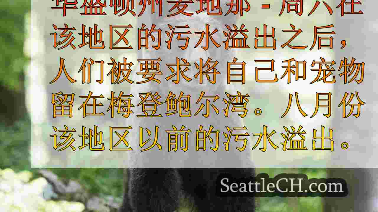 西雅图新闻 SeattleCH