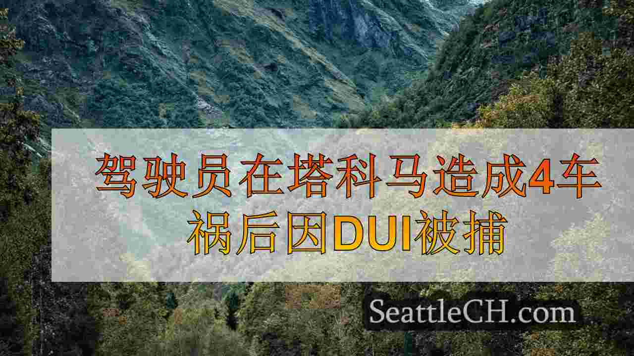 西雅图新闻 SeattleCH