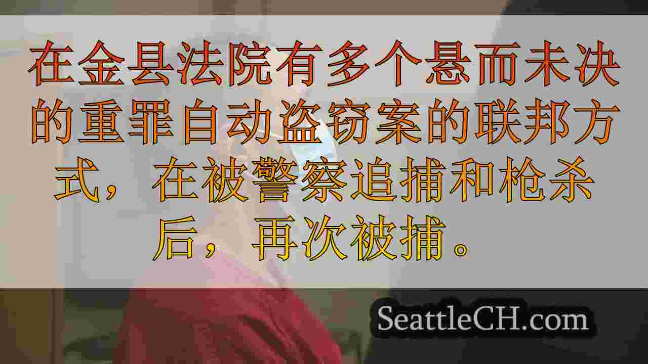 联邦方式男子在另一辆从西塔克机场被盗的汽车中被捕