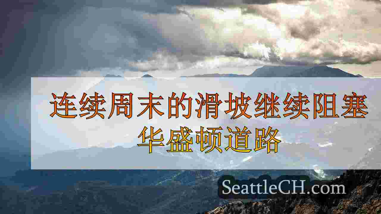 西雅图新闻 SeattleCH