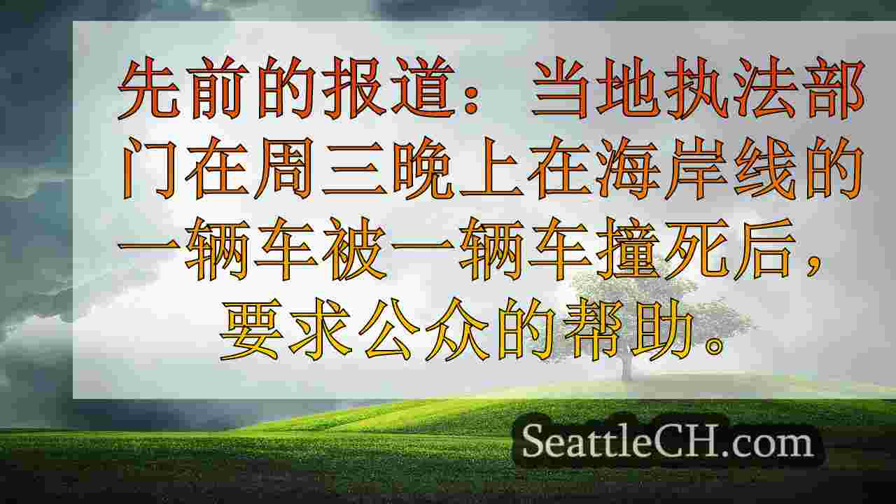 西雅图新闻 SeattleCH