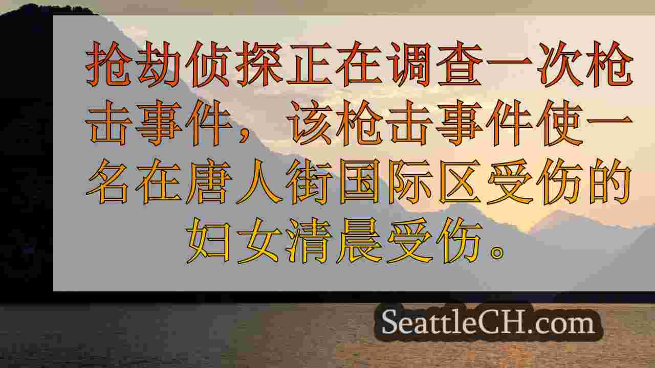 在唐人街国际区开枪射击