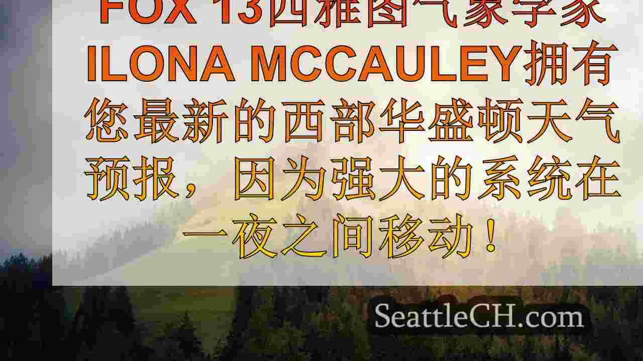 西雅图新闻 SeattleCH