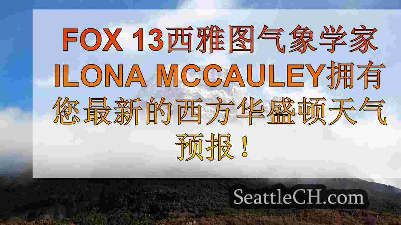 西雅图新闻 SeattleCH