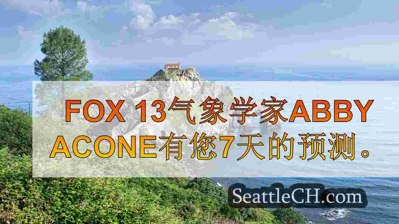 西雅图新闻 SeattleCH