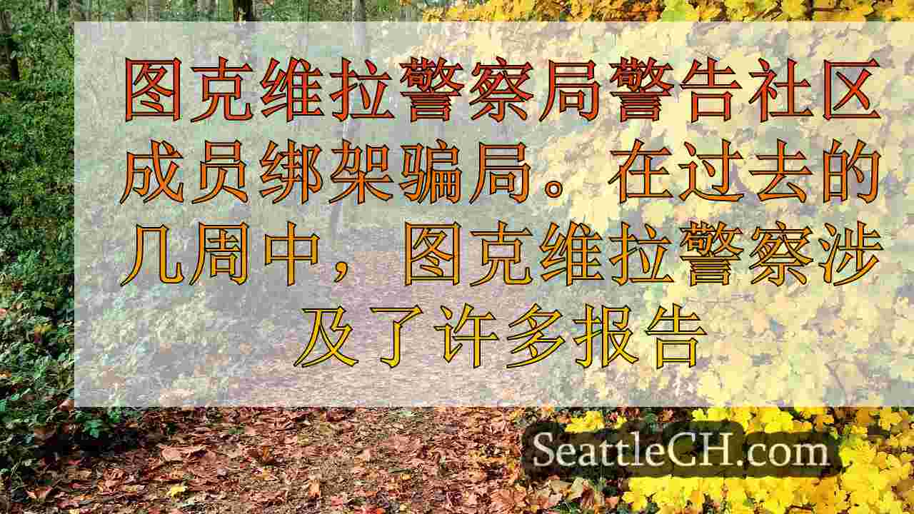 西雅图新闻 SeattleCH