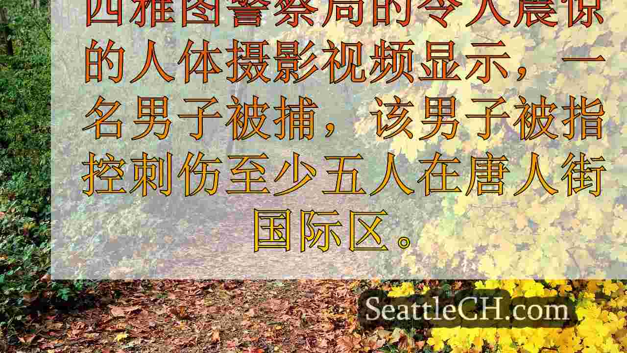 人体摄像机录像显示西雅图警察逮捕了大规模刺伤嫌疑人