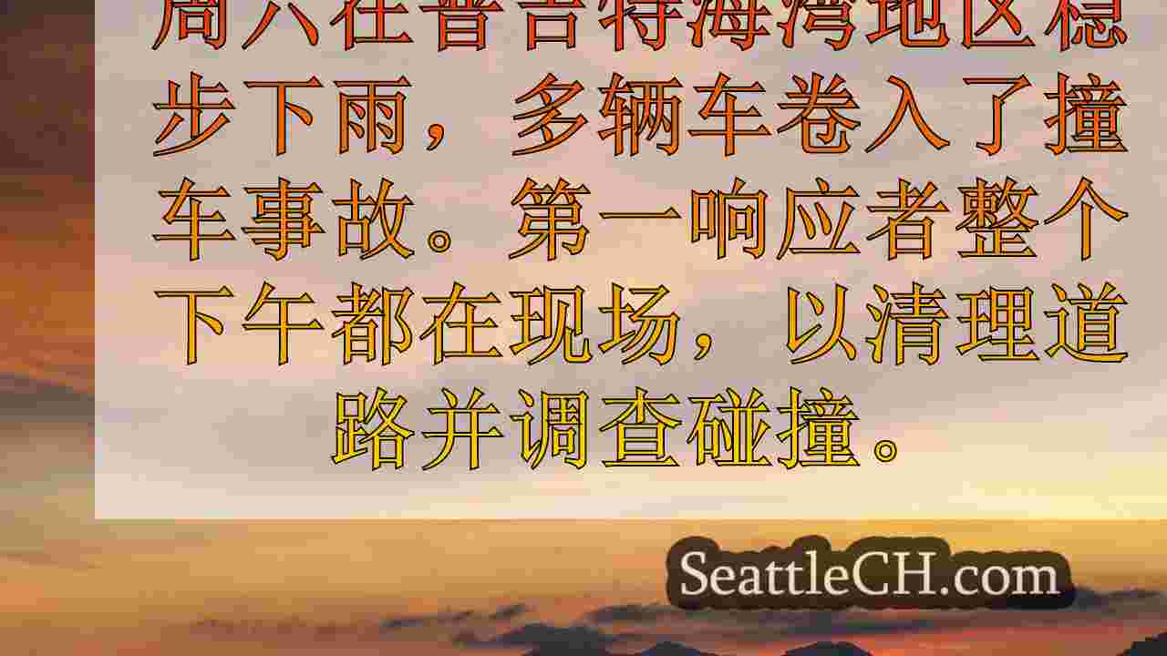 西雅图新闻 SeattleCH