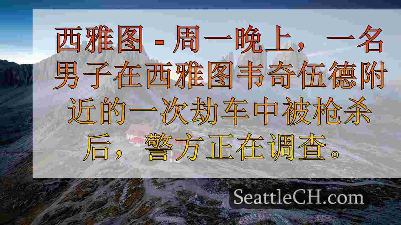 在西雅图的韦奇伍德附近劫车时枪击