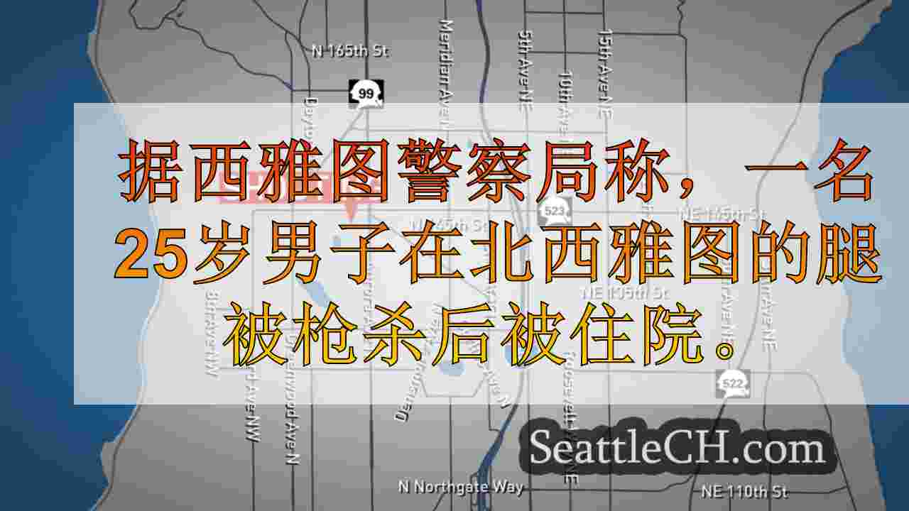 男子在西雅图北部的苦湖附近深夜射击后住院