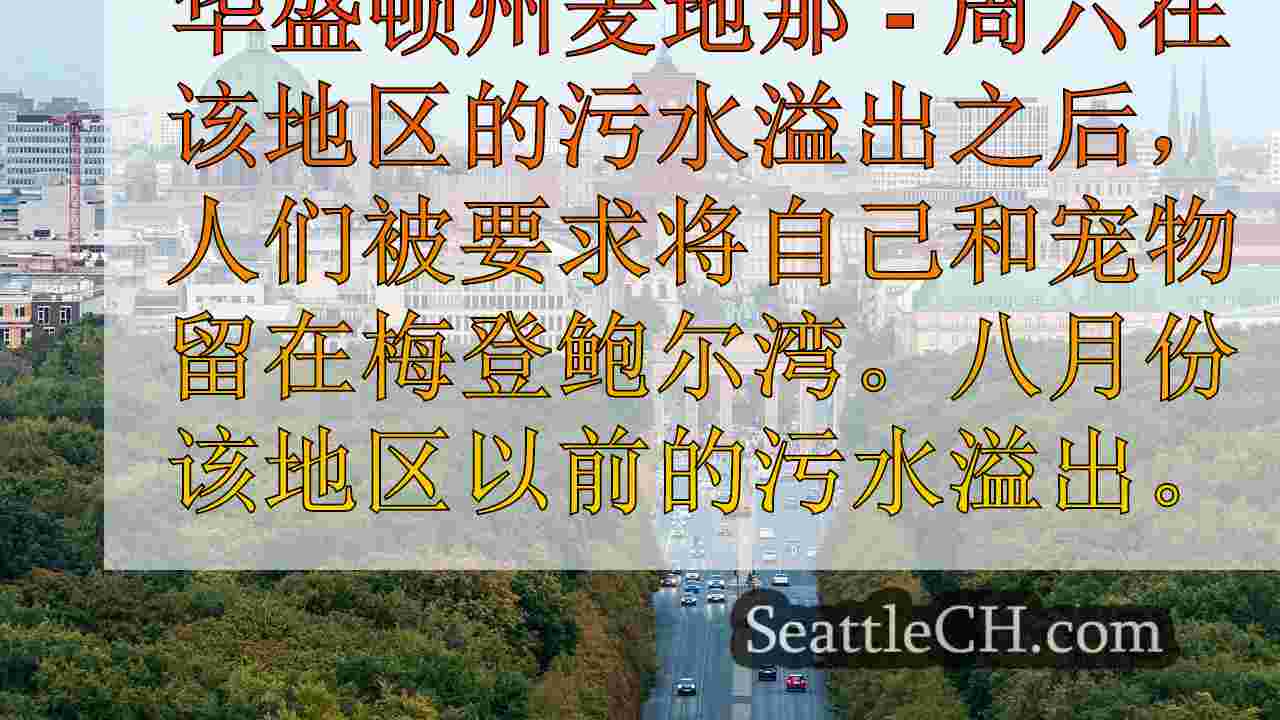 西雅图新闻 SeattleCH