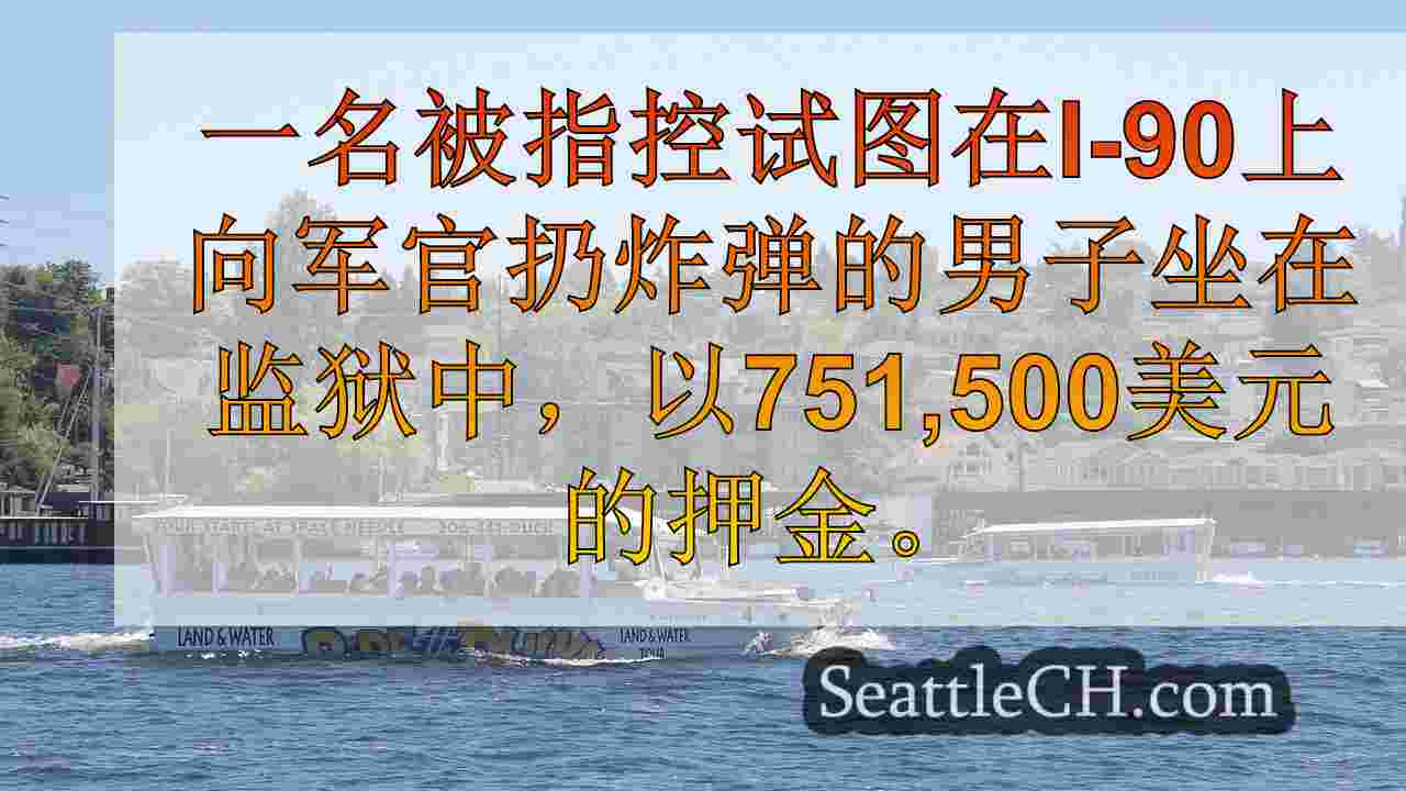 嫌疑人在联邦法院的I-90关机中对炸弹指控的关闭